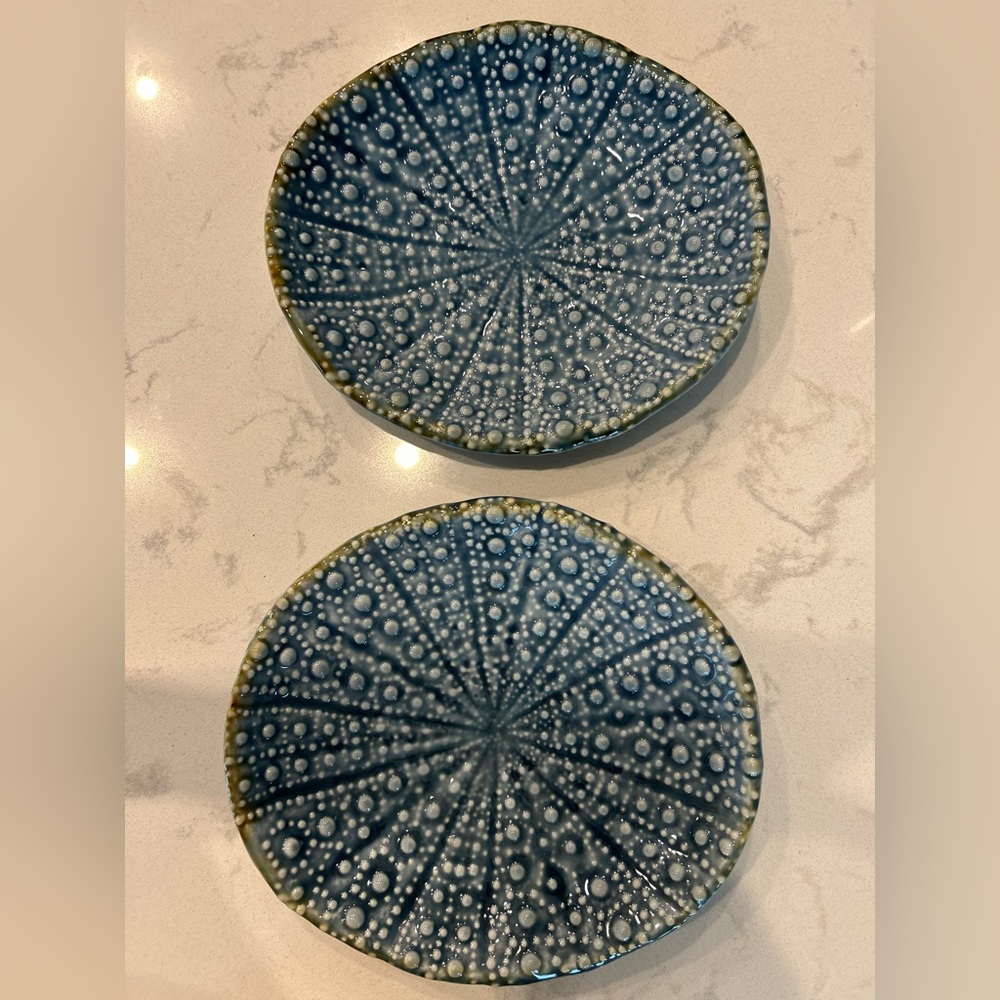 Blue Textured Ceramic Plates Orchid shell plates 8” x 9 “